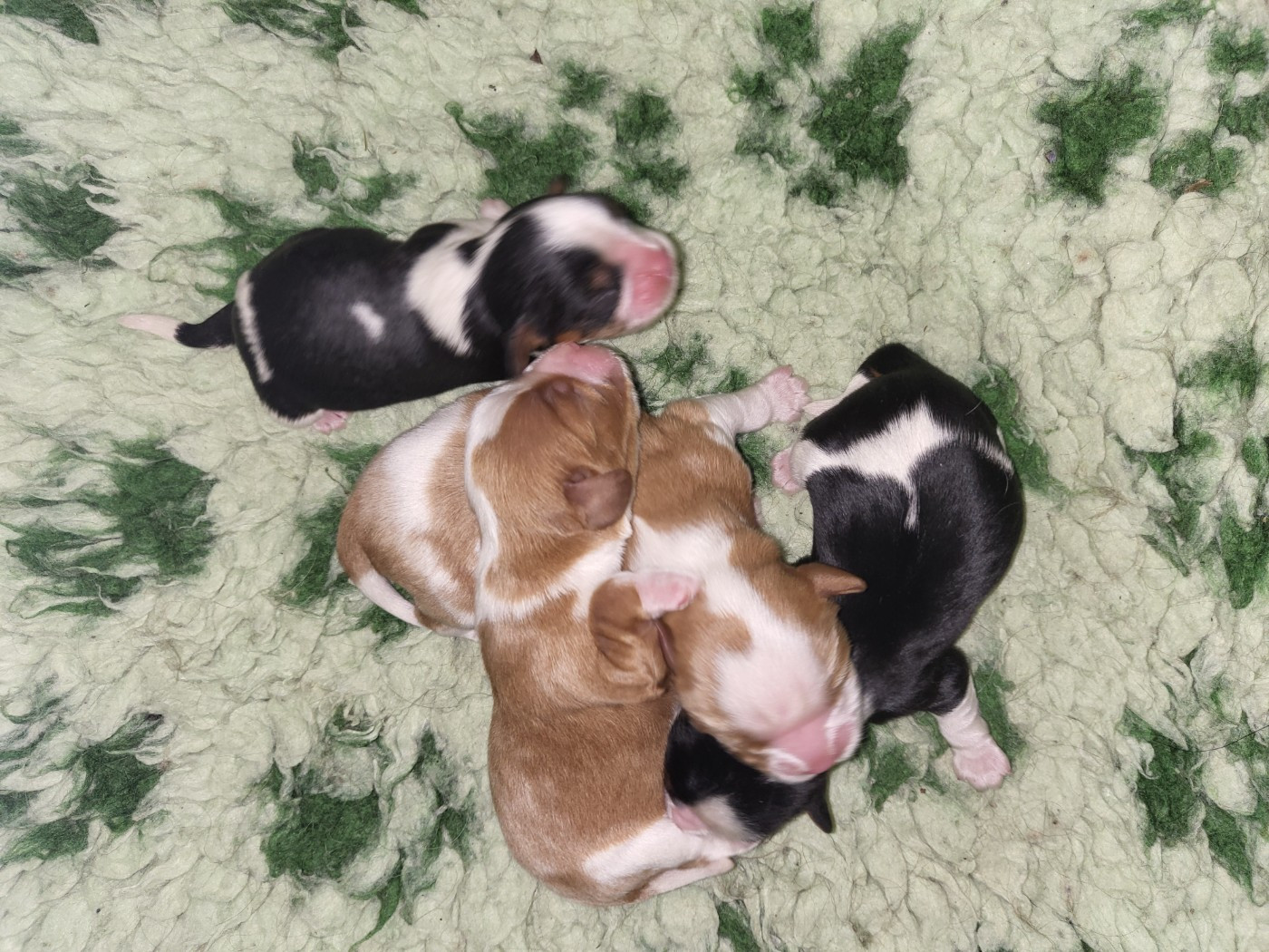 Dernière naissance de l'année 2025